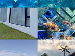 -海棠湾