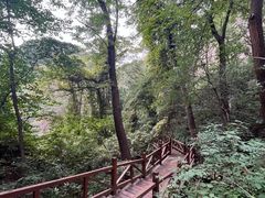 -大岭沟猕猴桃谷风景区