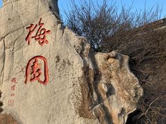 -梅园