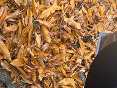 -江南大学(蠡湖校区)