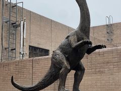 -自贡恐龙博物馆