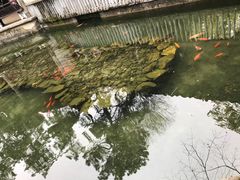 -杭州动物园