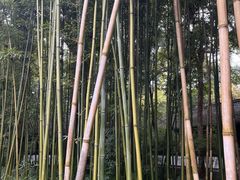 -成都杜甫草堂博物馆