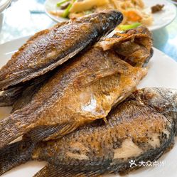 香煎咸水罗非鱼