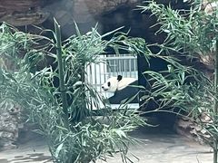 -石家庄市动物园