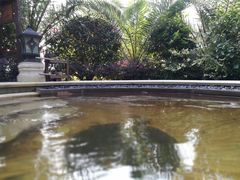 -苏州湾王焰温泉度假酒店