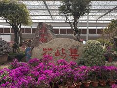-沂蒙云瀑洞天景区