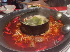-厂花素芬九宫格火锅(益州大道店)