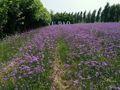 -渔岛海洋度假区