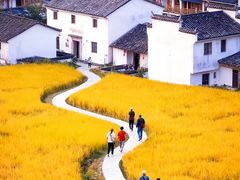 -塔川景区