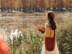 -白鹭湾湿地公园