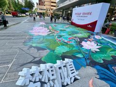 -东北大学附属辽宁爱尔眼科医院
