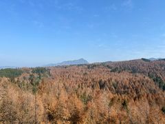 -山王坪喀斯特国家生态公园