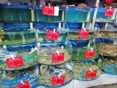 -晓伟海鲜家常菜