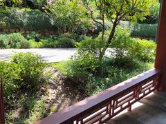 -北坞公园