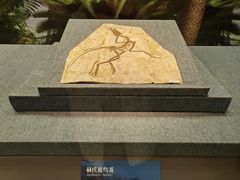 -辽宁省博物馆