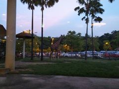 -清迈夜间动物园