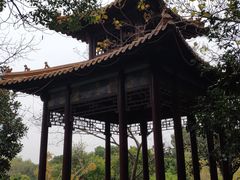 -华西村