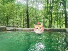 -花水湾第一村温泉大酒店