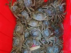 -蟹天蟹地农家菜·阳澄湖大闸蟹(浅水湾店)