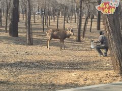 -秦皇岛野生动物园