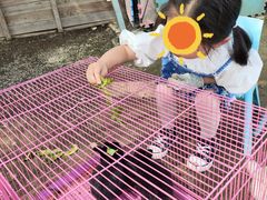 -菊园百果园