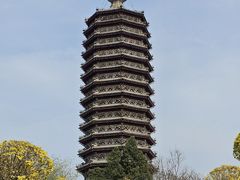 -西海子公园