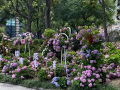 -常州古运河南大街文化旅游区-人民公园