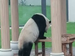 -无锡动物园·太湖欢乐园