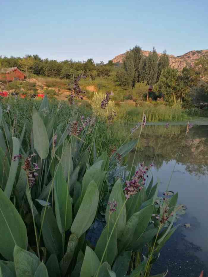 融创阿朵小镇藏马山国际旅游度假区