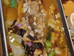 -美食小镇·观赏珍稀鸟类·长隆熊猫酒店