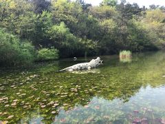 -天目湖山水园