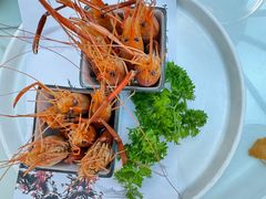 -吴记小园楼(白塔西路总店)