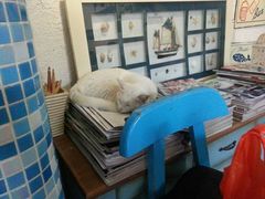 -Sirena海妖日咖夜酒