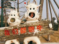 -国色天乡三期陆地乐园