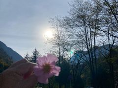 -西姆山居酒店(九寨沟沟口店)