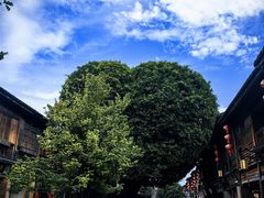 -三坊七巷历史文化街区