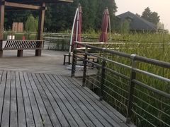-太湖湖滨国家湿地公园-停车场