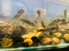 -健眺小海鲜(临海后山店)