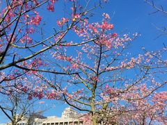 -风云岭森林公园