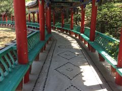 -大芦花风景区