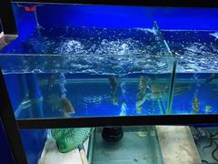 -李东农庄(中南百草园地标店)