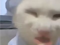 -DQ·蛋糕·冰淇淋(河东万达店)