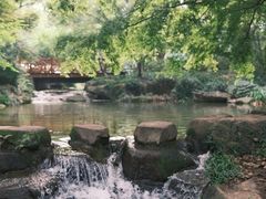 -中国茶叶博物馆(双峰馆区)