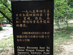-西安青龙寺遗址景区