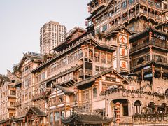 -味子夫鸡柳(解放碑总店)