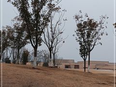 -盘龙城国家考古遗址公园