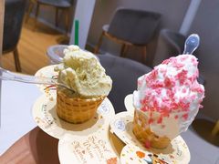 -野人先生现做冰淇淋(西安赛格店)
