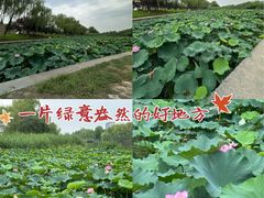 -定鼎门遗址博物馆