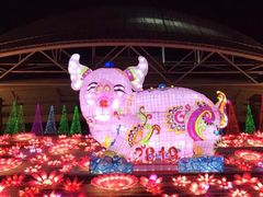 -沈阳奥体冰雪嘉年华